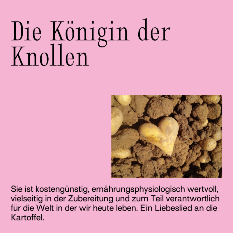 Die Königin der Knollen
