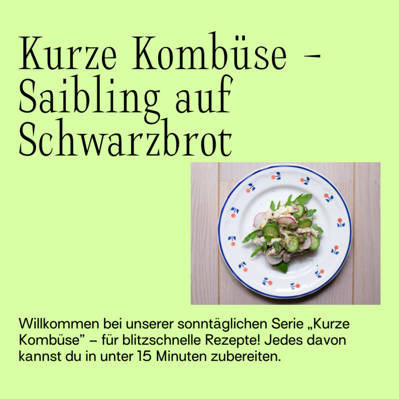 <15 Minuten: Saibling auf Schwarzbrot