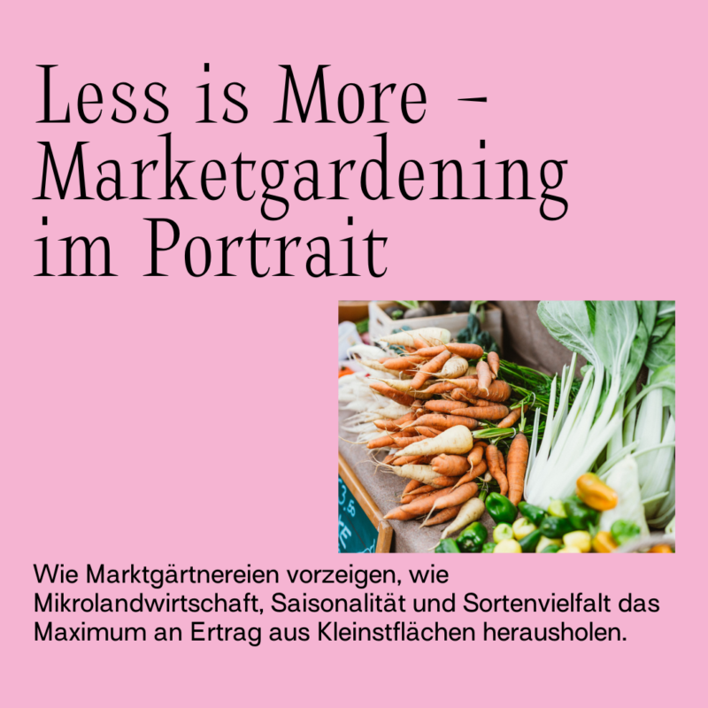 Less is More